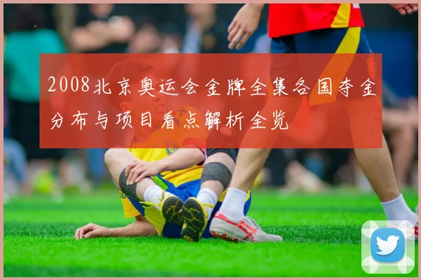 2008北京奥运会金牌全集各国夺金分布与项目看点解析全览